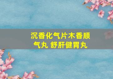 沉香化气片木香顺气丸 舒肝健胃丸